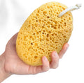 Natural Sea Sponge